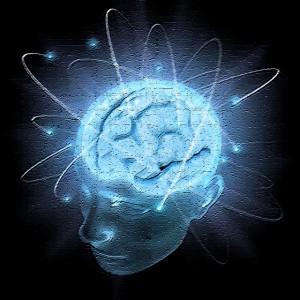 Human brain showing learning inputs