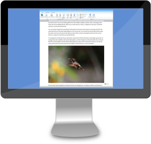 Computer monitor with Microsoft Word.