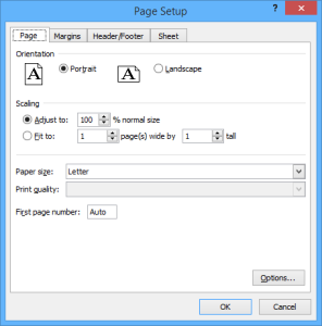 Page Setup dialog box in Excel 2010.