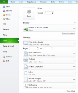 Print dialog box Microsoft Excel 2010.