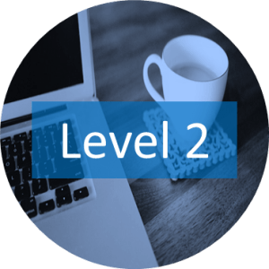 Level 2 Microsoft Project Training Toronto.
