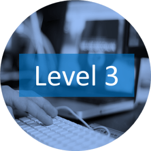 Microsoft Project Level 3 Training Toronto.