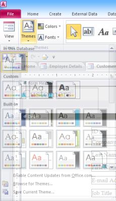 Choosing a theme in Microsoft Access using Themes button.