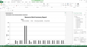 Resource Work summary report in Excel 2013.