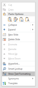Context menu to Show Text Formatting in Notes pane in Microsoft PowerPoint.