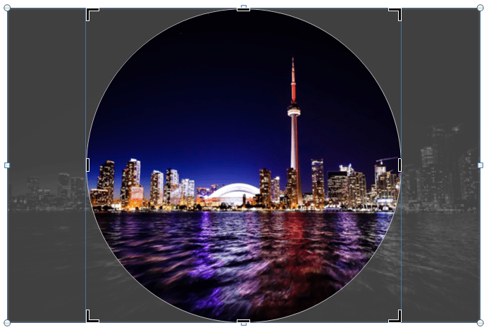 Picture in PowerPoint with cropping handles that has been cropped to a circle.