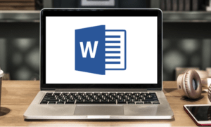 Microsoft Word courses in Toronto Ontario Canada or Online in Virtual Classroom (Laptop with Word).