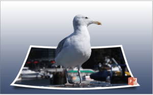 3D image of seagull representing extracting images from Microsoft PowerPoint files.