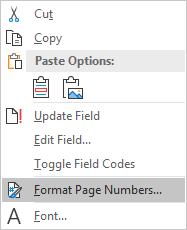 Format page numbers drop-down menu in Microsoft Word.