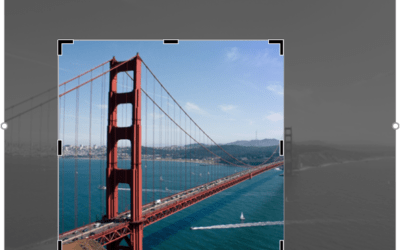 How to Crop a Picture in PowerPoint (4 Ways)