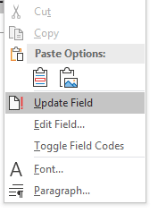 Context menu that appears when you right-click on a field to update the field.