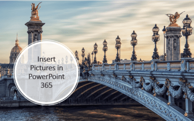 How to Insert Pictures in PowerPoint 365 (from a Drive, Stock Images or Online Pictures)