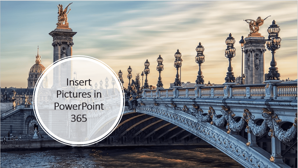 How to Insert Pictures in PowerPoint 365 (from a Drive, Stock Images or Online Pictures)