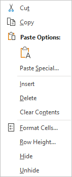 Context menu in Excel that appears when you right-click to insert multiple rows.