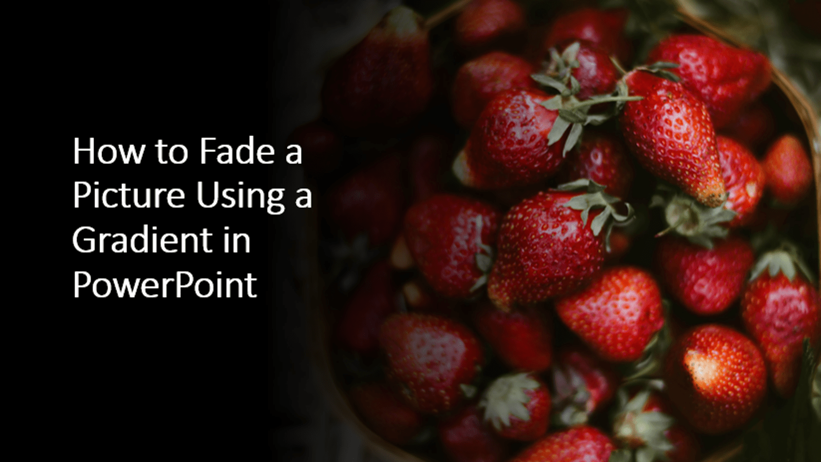 How to Fade a Picture or Part of a Picture in PowerPoint (Using a Gradient)